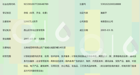 昆明凌宇志達網(wǎng)絡(luò)科技 專業(yè)信息咨詢服務(wù)驅(qū)動數(shù)字化轉(zhuǎn)型